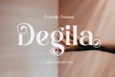 Product image of Degila