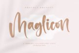 Product image of Maglicon