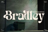 Product image of Bradley