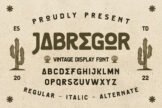 Product image of JABREGOR