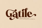 Product image of Gatile
