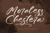 Product image of Moraless Chestera