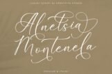 Product image of Alnetsia Montenela