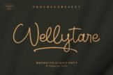Product image of Wellytare