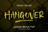 Product image of Hangover